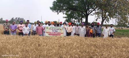 ਕੇ.ਵੀ.ਕੇ. ਨੇ ਪਰਾਲੀ ਪ੍ਰਬੰਧਨ ਦੀਆਂ ਤਕਨੀਕਾਂ ਬਾਰੇ ਜਾਣਕਾਰੀ ਦੇ ਕੇ ਖੇਤ ਦਿਵਸ ਮਨਾਇਆ 